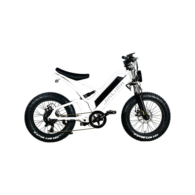 Hyb-030 20 "Step-in dojíždějící e-bike